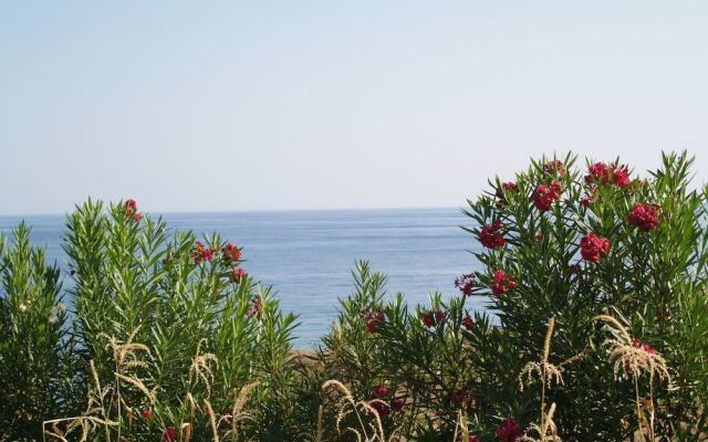 Bungalow Musuri
