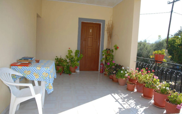 Vassilis Studios