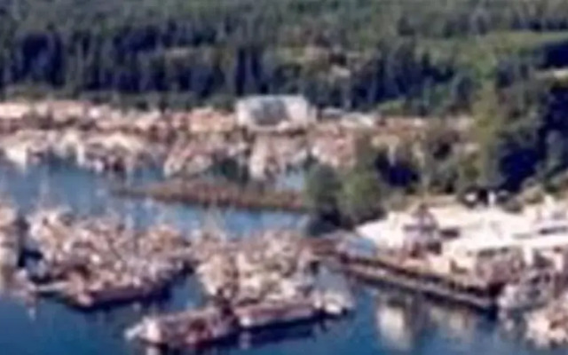 C&N Backpackers - Port Hardy