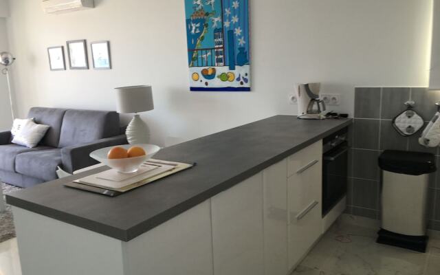 Modernized Apartment in Antibes With Terrace