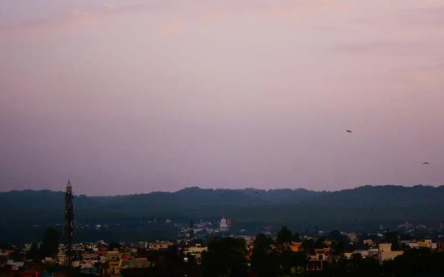 The Glass House Premium