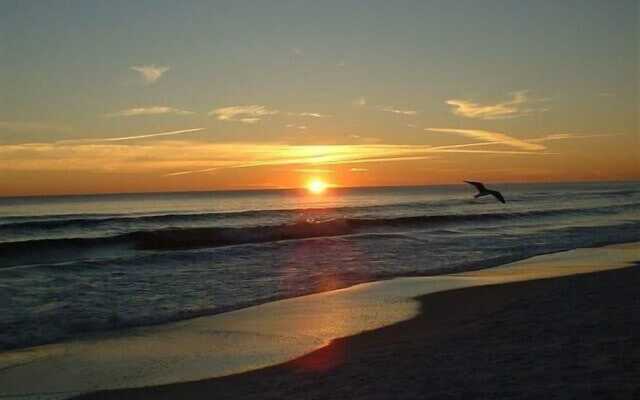 Tivoli 5249 (G) - 3BR 3BA+loft - (9)