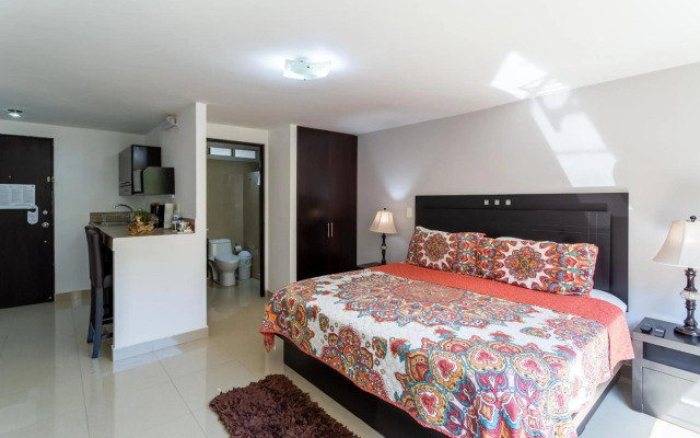 Suites259