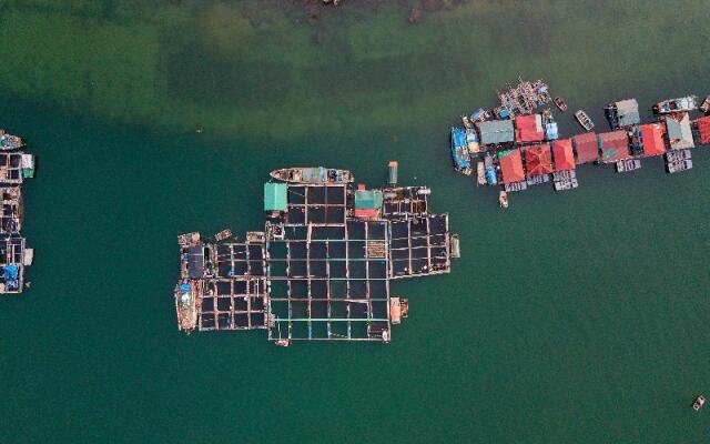 Heritage Line Violet Cruise-Ha Long Bay and Lan Ha