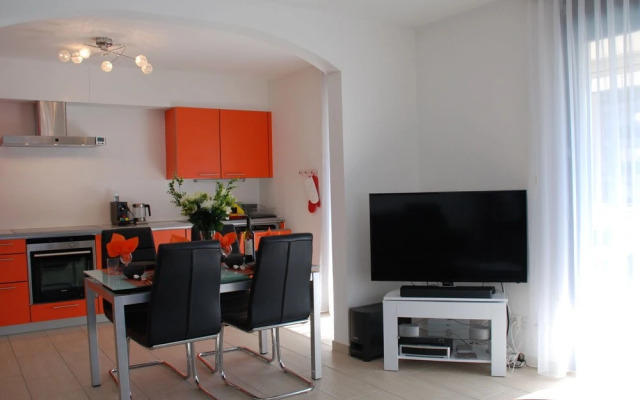 Saleggi Apt 20 Locarno