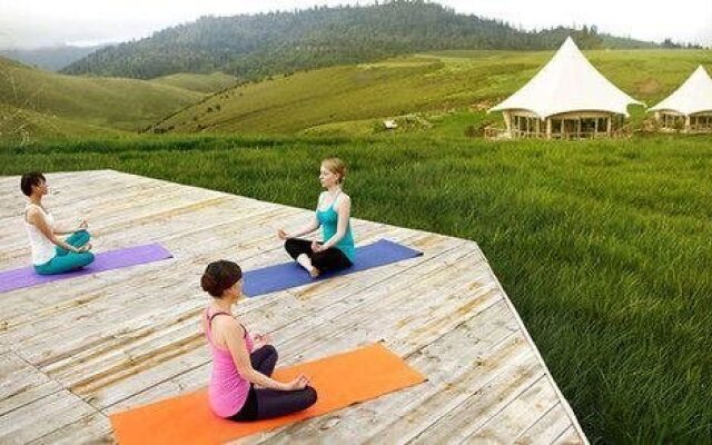 Vinetree · Geladan Tented Resort