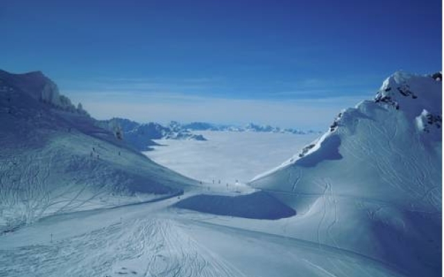 Apart Arlberg Wiestner Luise