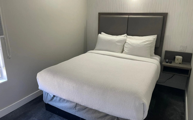 The Vic, Ascend Hotel Collection