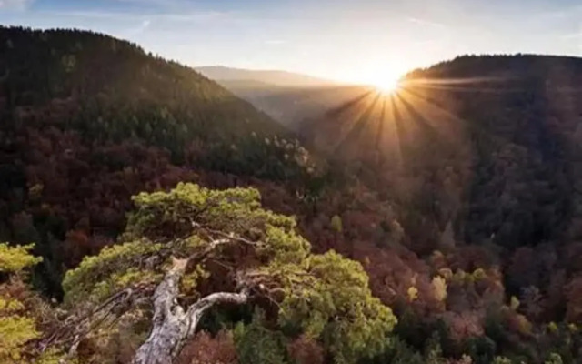 Apartment in Harz Near Brocken Railway