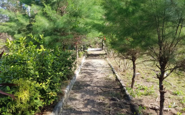 Sasak Island Bungalows