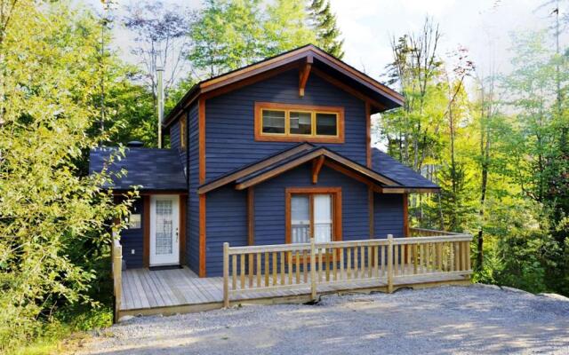 Chalets Alpins - 01 Chemin Alpin