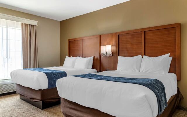 Comfort Suites Buda Austin South