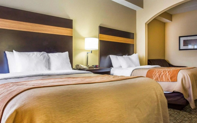 Comfort Inn & Suites at Stone Mountain