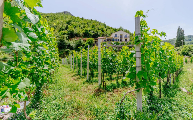Rustic House Leković