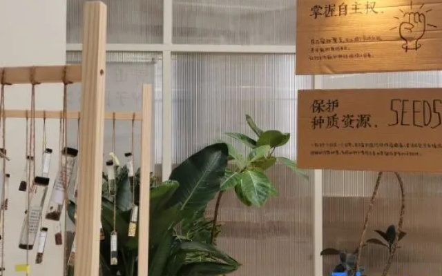 Hangzhou Qingshan Qingnianshe Longwuli Homestay – Guest Rooms – Hangzhou