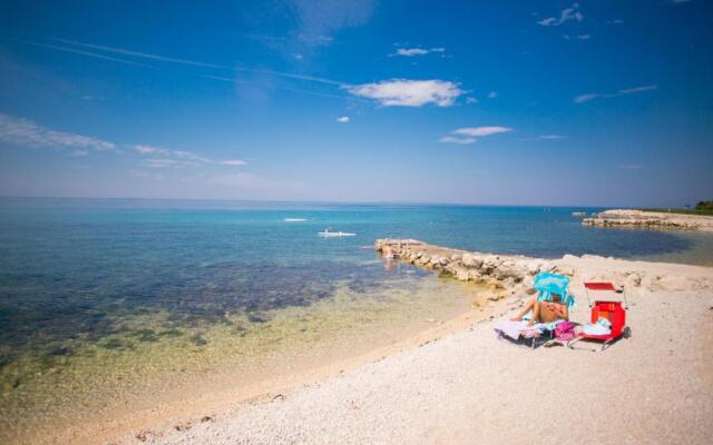 Apartments Ostrea - Mimoza