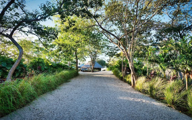 Mikado Natural Lodge