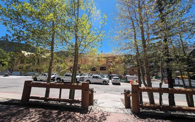 Arapahoe Lodge 8119 by SummitCove Lodging