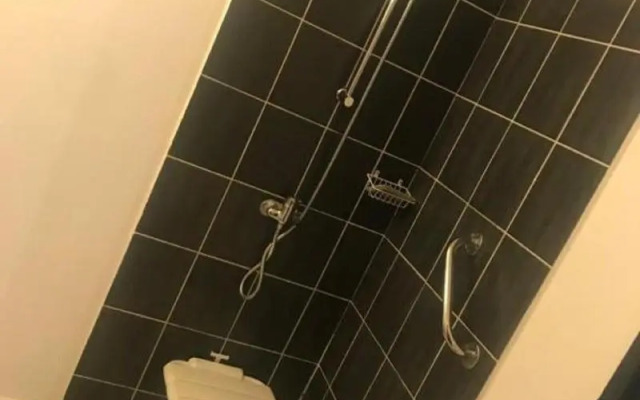 Hotel de la Paix Lyon Sud Givors