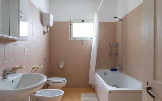 1143 Le Cicale - Violetta