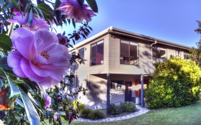 Cove Beach Apartment