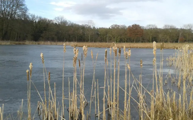 Ferienwohnung Zinne-Wigger