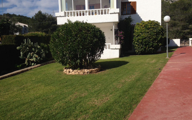 Apartamentos Palma Blanca 3000