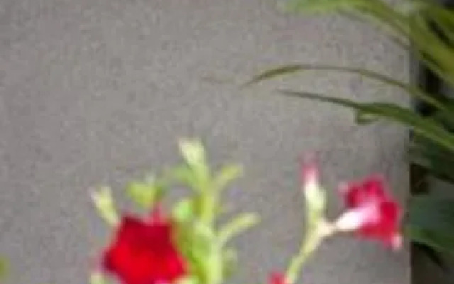 Residenze Romeo e Giulietta