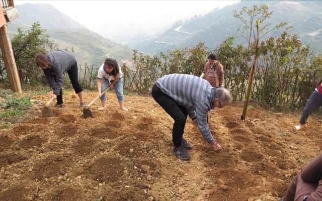 Sapa Eco-Home Mountain Retreat