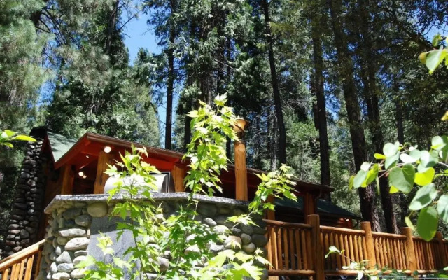 52 Tuolumne Meadow