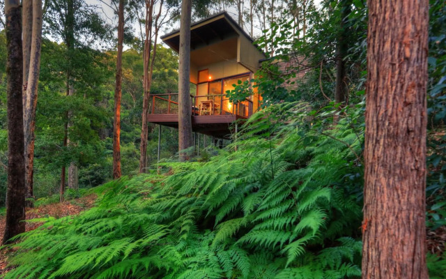 Montville Oceanview Cottages
