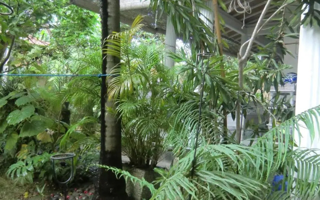 Shady Grove Healing Centre and Homestay