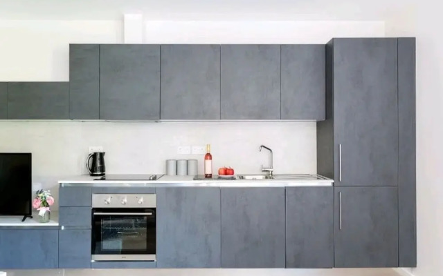 Deluxe Central London North Apartments