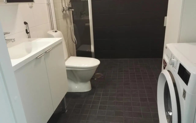 Apartment Satama