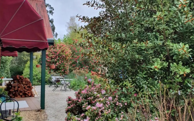Oaktree Guest House