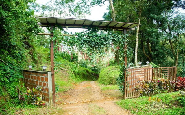 The Nest Bettathur Coorg
