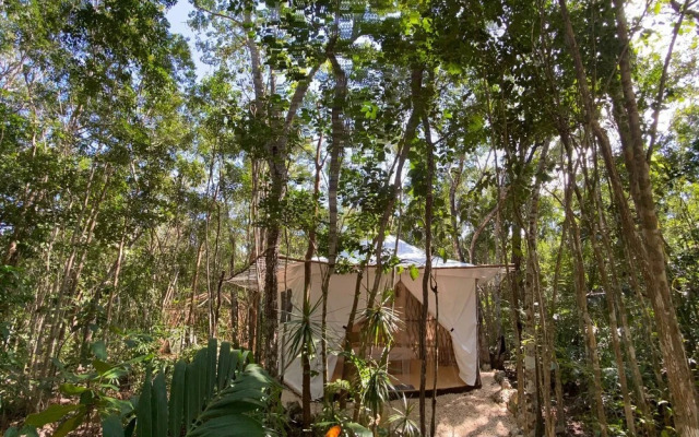 Kuha Glamping