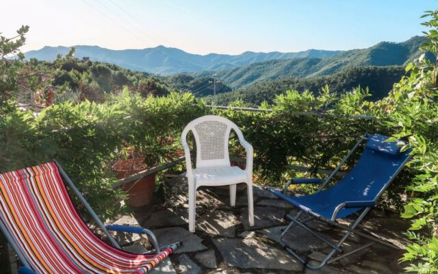 Apartment Olivo Vendone