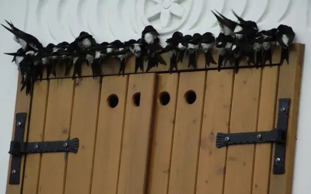 Panoráma Vendégház