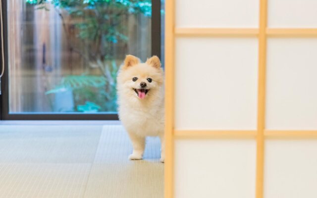 Kyoto Karin 京都 可凛