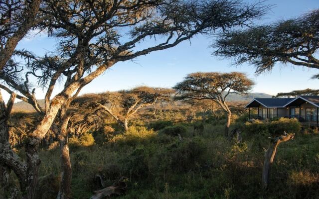 Ngorongoro Lions Paw