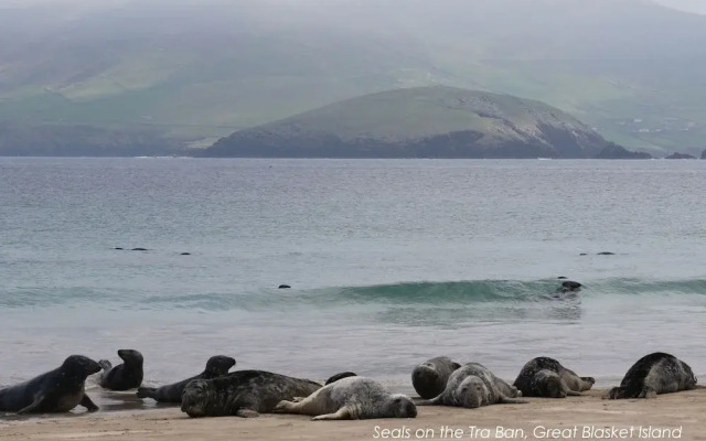 Great Blasket Island Accommodation