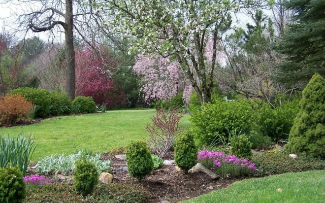 Hummingbird Inn