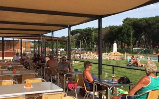 El Delfín Verde Platja d’Aro