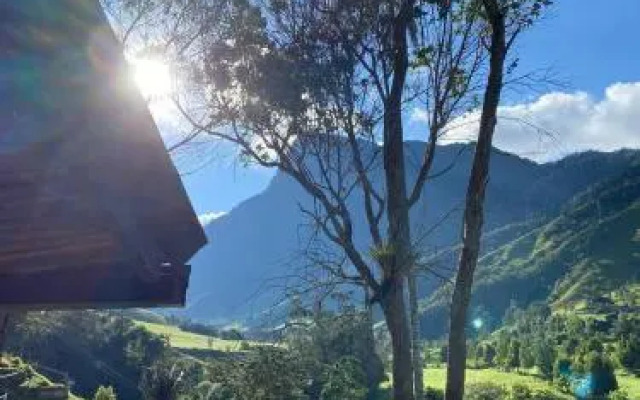Cabañas Truchas Cocora