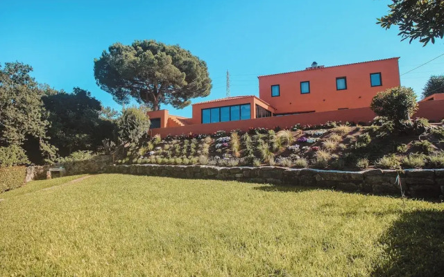 The Lost Garden