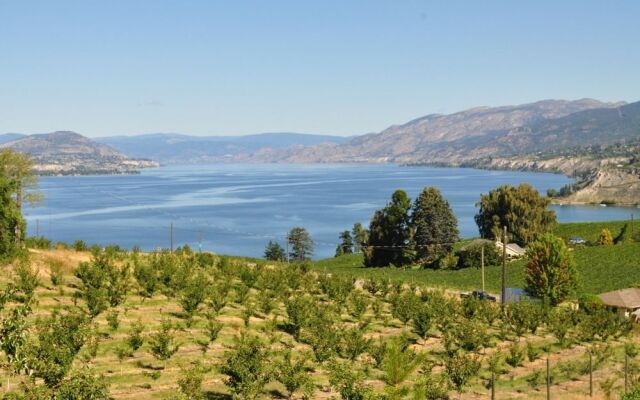 E'Laysa Guesthouse and Vineyard Retreat