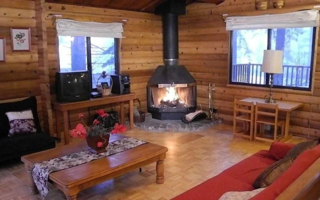 Tao Cabin 4