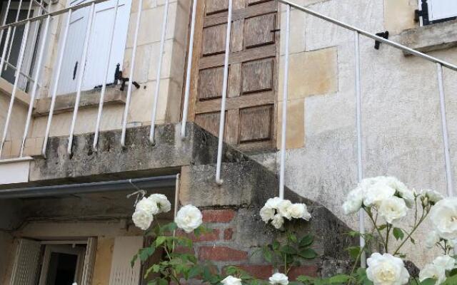 Sancerre Sunflower - Tournesol de Sancerre
