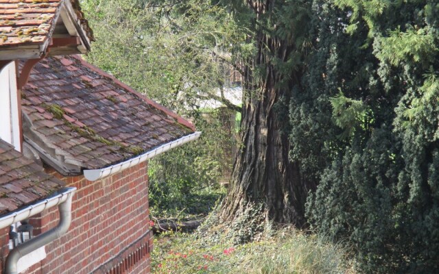 Le Cèdre - Bed and Breakfast